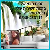 נכסי מאלי ישראל