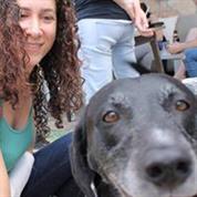 דיקלה האינסטלטורית