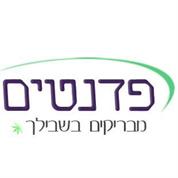 פדנטים-שרותי ניקיון
