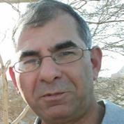 אבי עזר