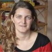 נעמה שפינגרן - טיפול רגשי באמצעות משחק
