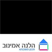 הלנה אמינוב - תכנון משכנתא