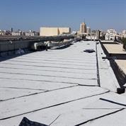 בראל שטיינפלד איטום
