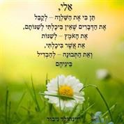 התעוררות רוחנית