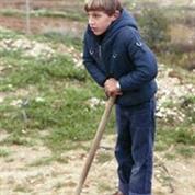 שרותי התייעלות סביבתית