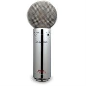 The Voice Actor