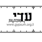 עדי עבודות גבס