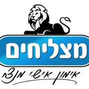 מצליחים אימון אישי מנצח