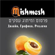 Mishmesh Design