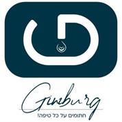 מאיר גינזבורג בע"מ