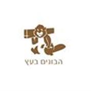 הבונים בעץ