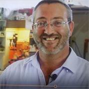 אילן מטבחים