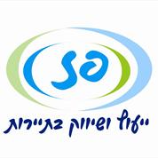 פז-ייעוץ ויזמות בתיירות