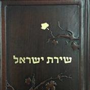 כריכיית ויס