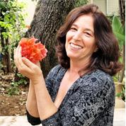 מרכז לב מאיר
