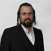 שטיין מהתכנון ועד הגמור