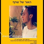 האור של שחף