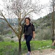 דנטל אסטטיקס