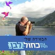 שלדג דגים
