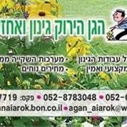הגן הירוק - גינון ואחזקה