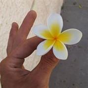 קליניקת הזן שיאצו של מוש