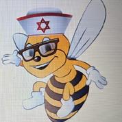 רוני אפיתרפיסט מדקר בדבורים
