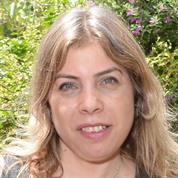 עיצוב גרפיקה מיתוג