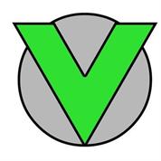 vision יזמות
