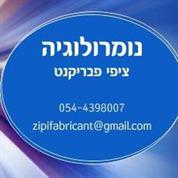 ציפי נומרולוגיה