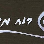 רוח מים