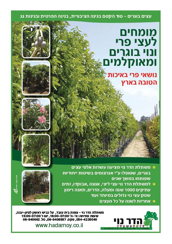 מודעה הדר נוי