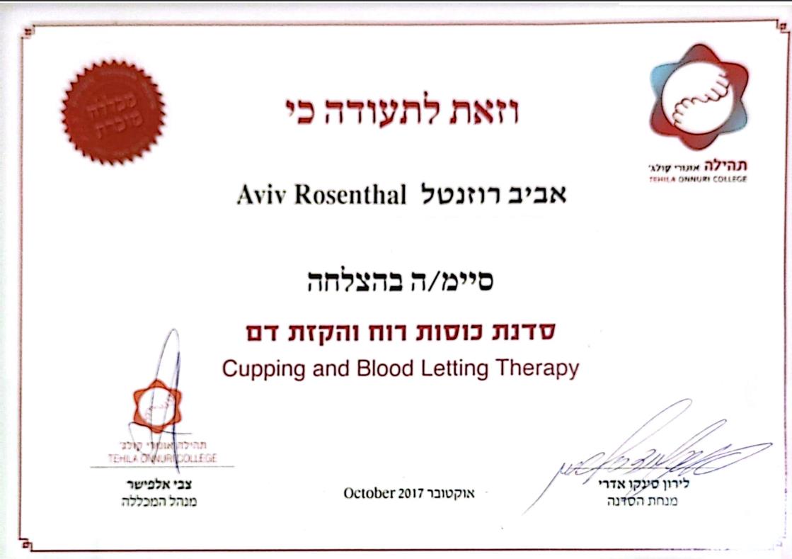 תעודת מקצוע