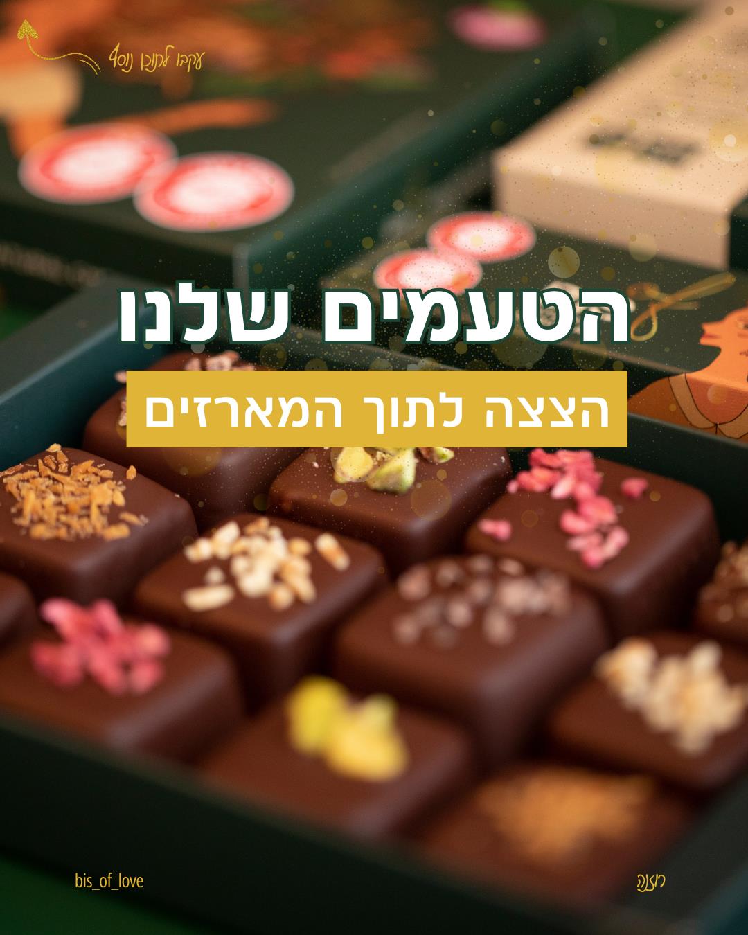 ניהול עמוד אינסטגרם - ביס אוף לאב
