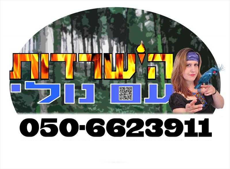 הישרדות עם נולי