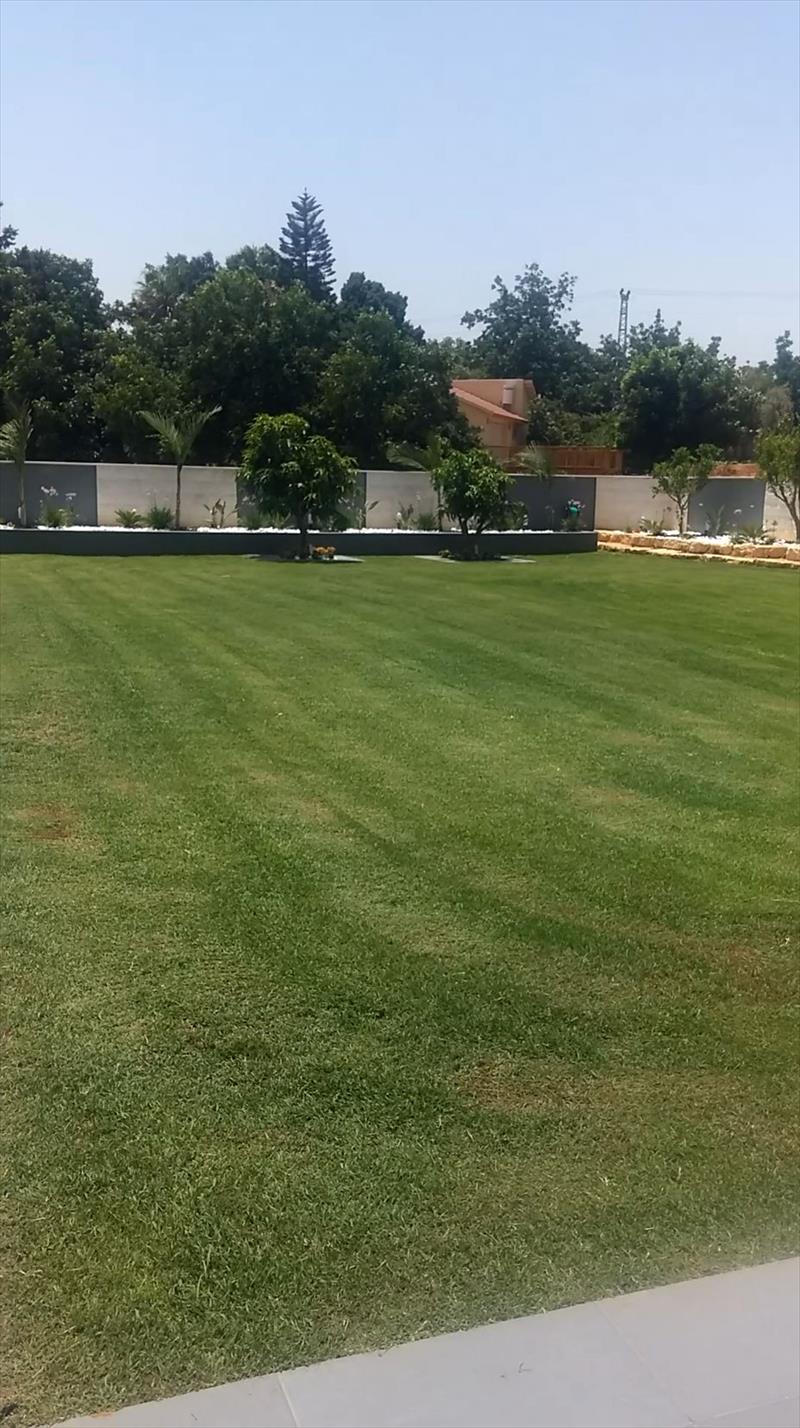 הגינה של נילי וניסים