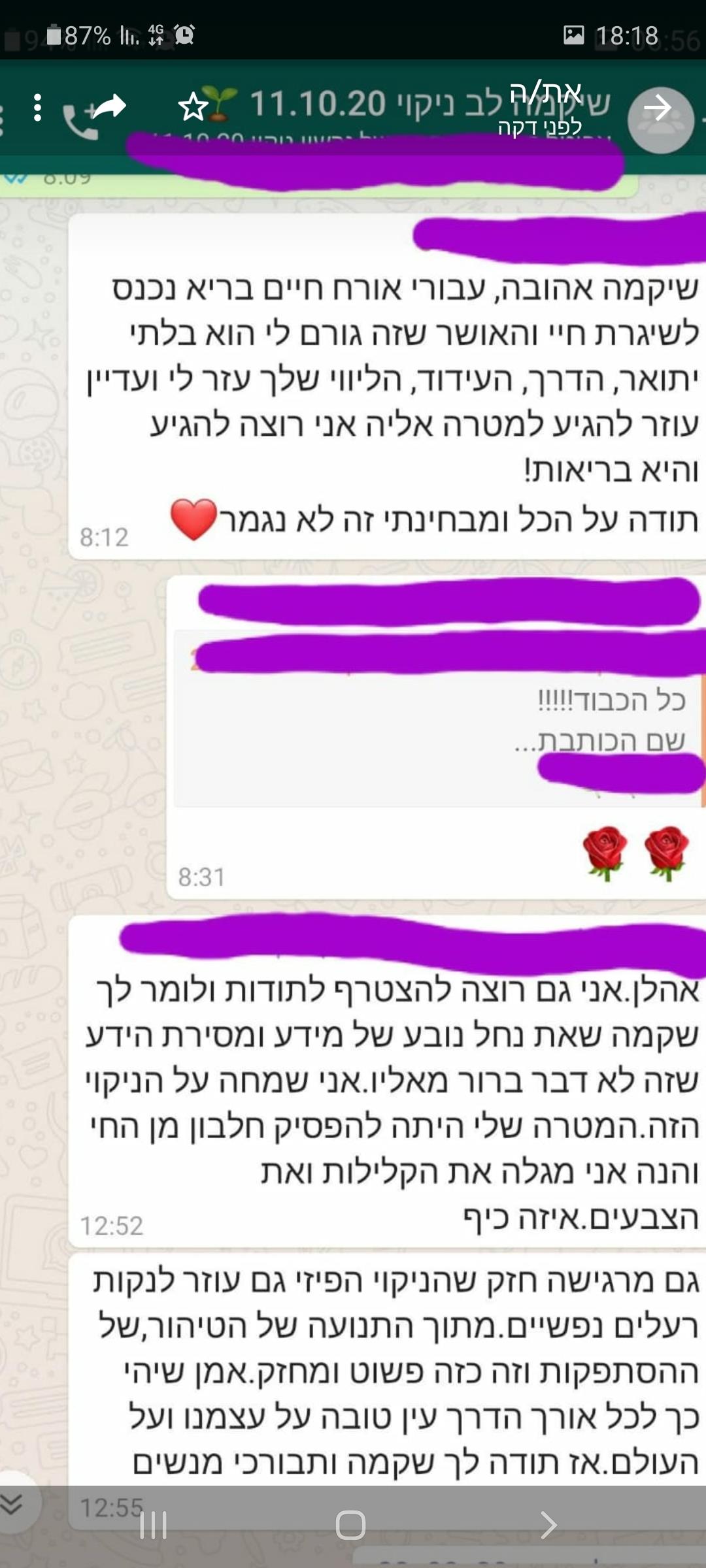 סדנת ניקוי רעלים