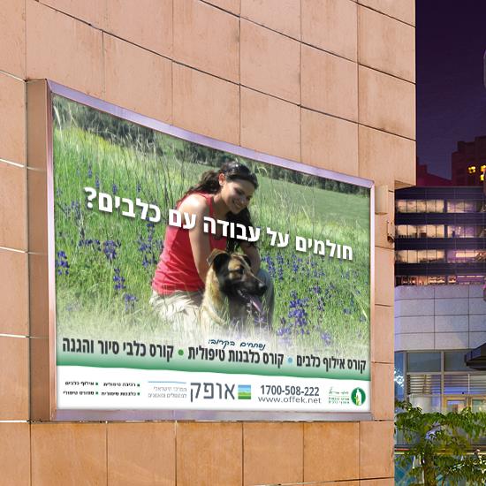 עיצוב לדפוס