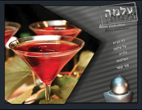 אתר אינטרנט משולב עם פלאש