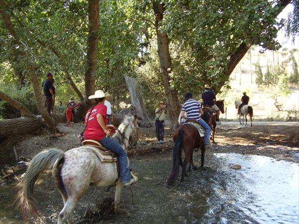 כתבי חידה והפעלות בשטח