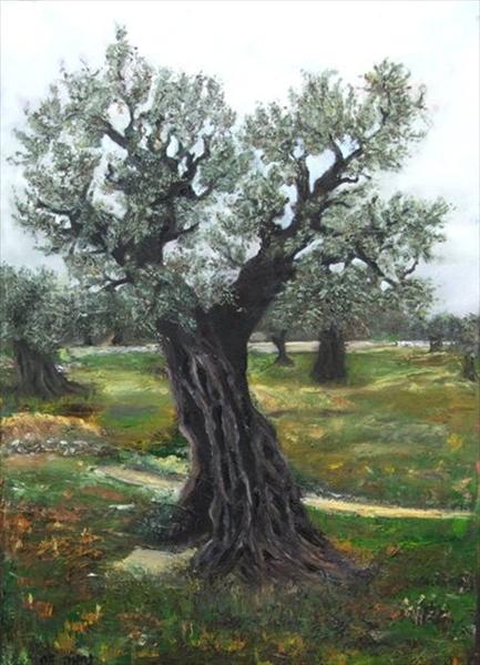 עץ זית