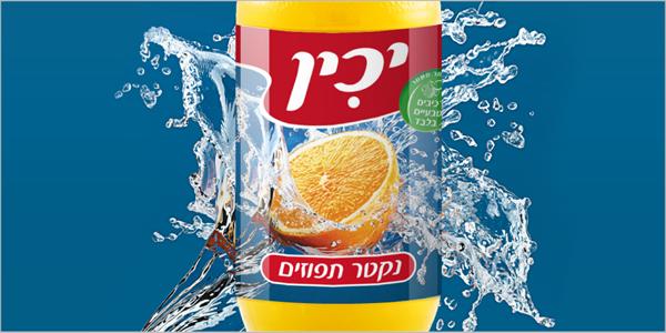 יכין - נקטרים