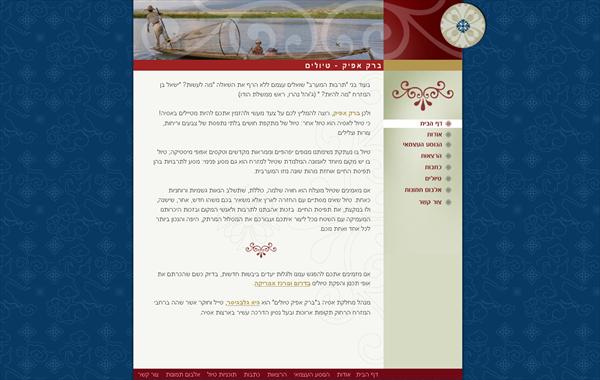 עיצוב אתר