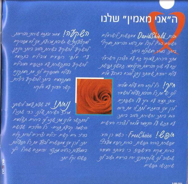ברושור שיווקי לחברת הביטוח "David Shield"