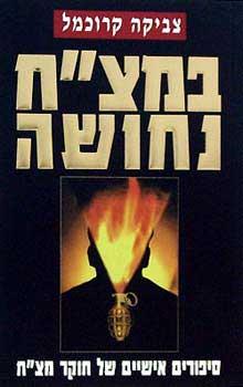 ספר שכתבתי: במצ"ח נחושה - סיפורים אישיים של חוקר מצ"ח
