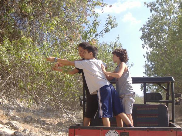אטרקציה מוטורית למשפחה