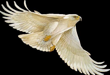 ערב תקשור בחיפה