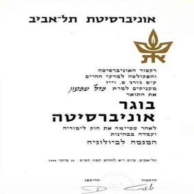 תואר ראשון