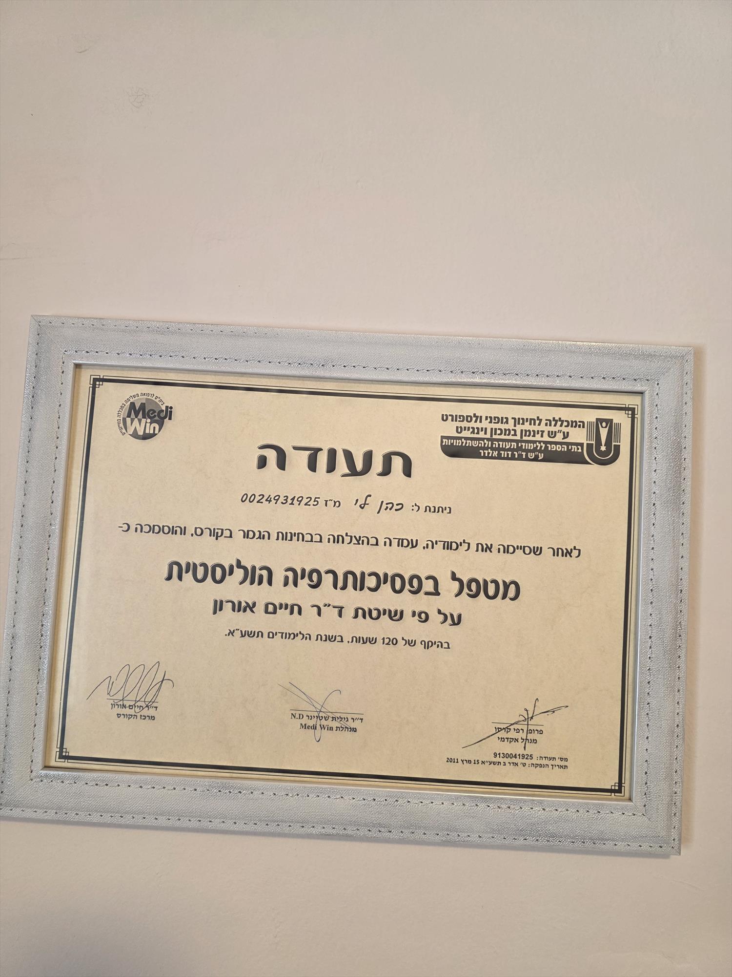 פסיכותרפיה הוליסטית