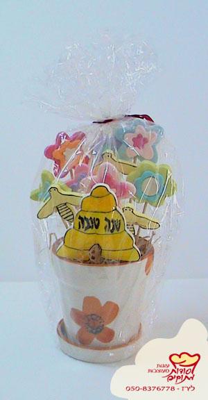 מתנה עציצי סוכירות