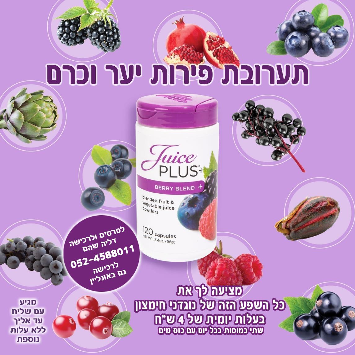 קפסולות תערובת פירות כרם ויער - בית מרקחת מהטבע